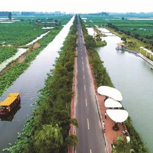 金湖縣荷花蕩旅游公路及景觀綠化建設(shè)項目